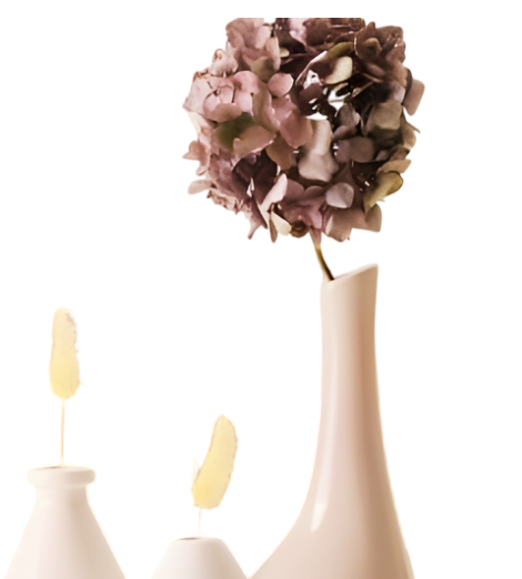 Petal Whisper